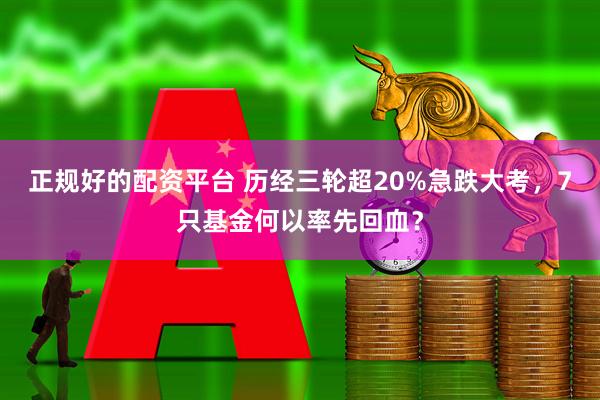 正规好的配资平台 历经三轮超20%急跌大考，7只基金何以率先回血？